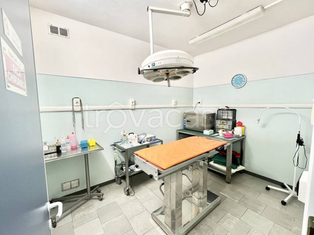 immagine annuncio 6 di 12