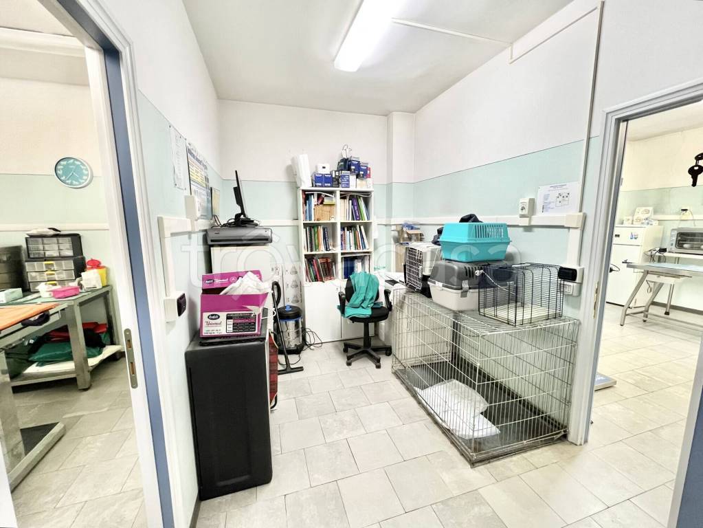 immagine annuncio 10 di 12