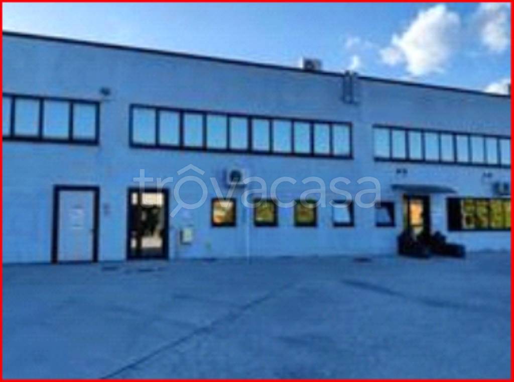 immagine annuncio 2 di 13