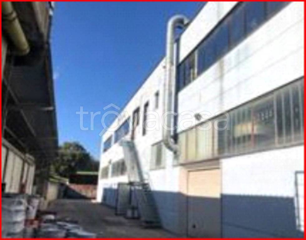 immagine annuncio 4 di 13