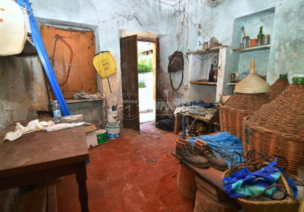 immagine annuncio 4 di 13