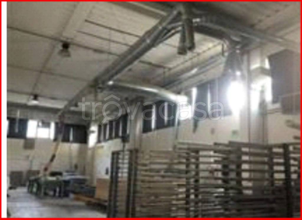 immagine annuncio 7 di 13