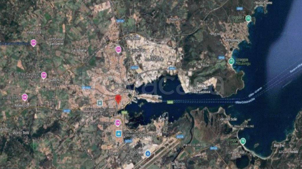 immagine annuncio 12 di 13