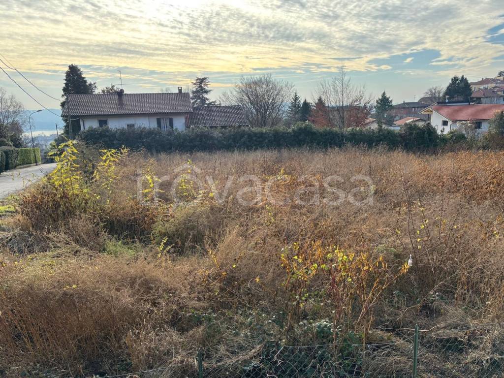 immagine annuncio 2 di 6