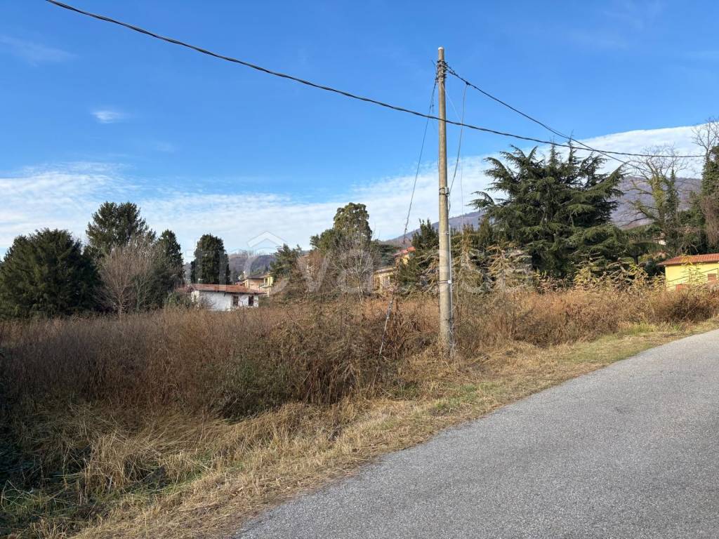 immagine annuncio 3 di 6