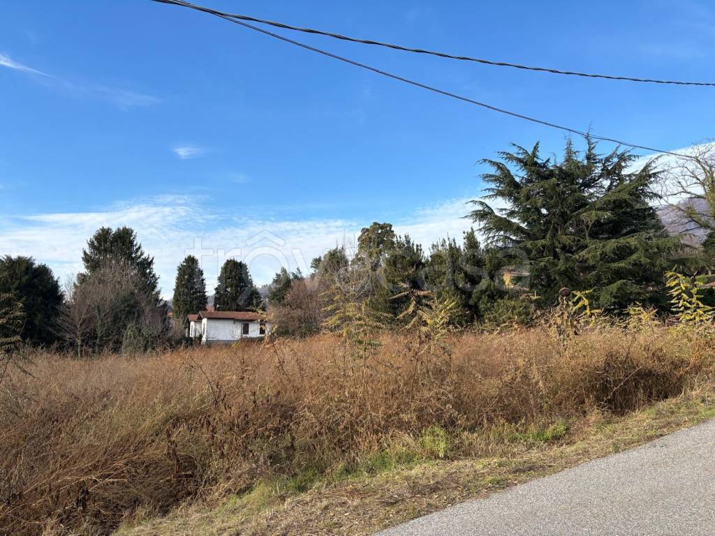 immagine annuncio 4 di 6