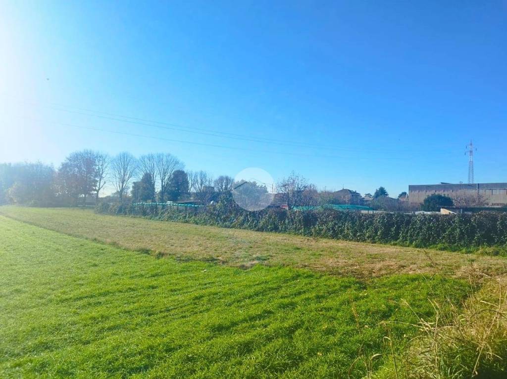 immagine annuncio 4 di 9