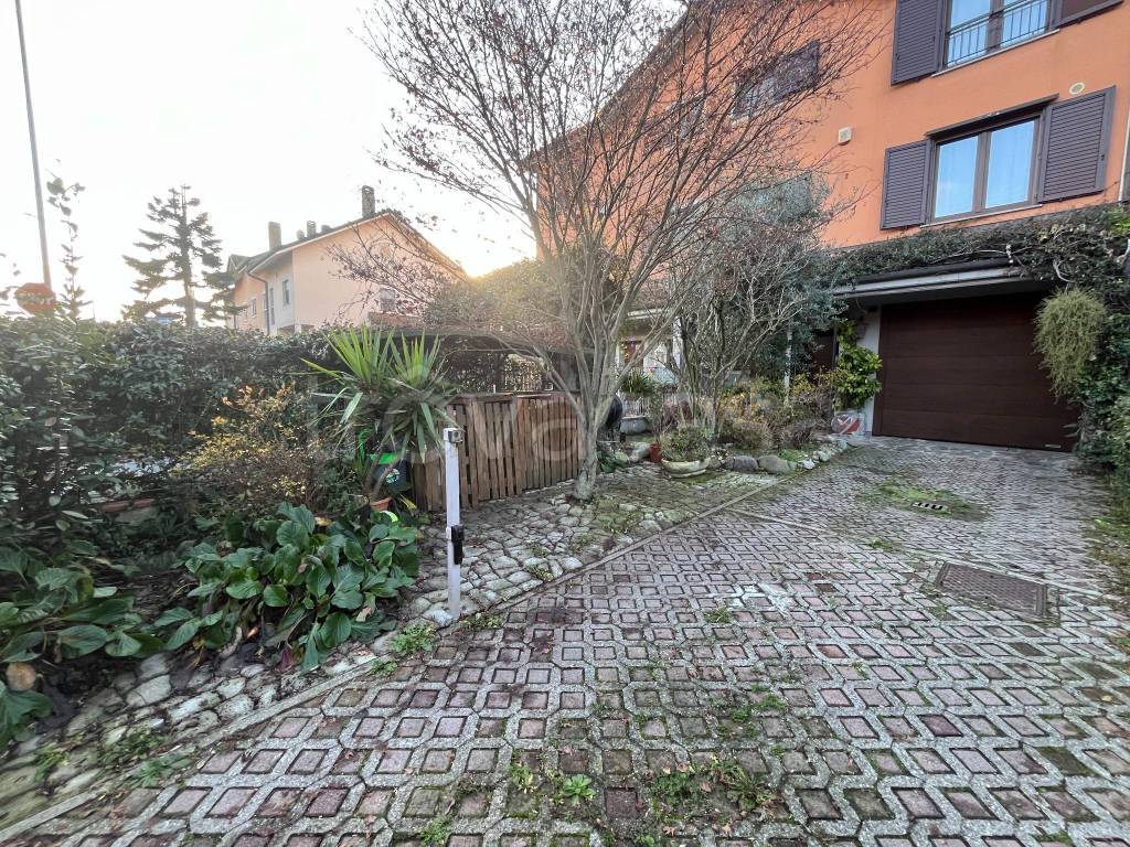 immagine annuncio 5 di 15