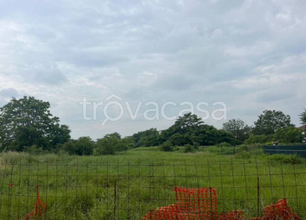 immagine annuncio 1 di 12