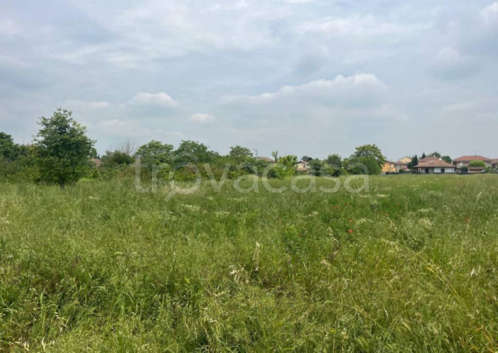 immagine annuncio 2 di 12