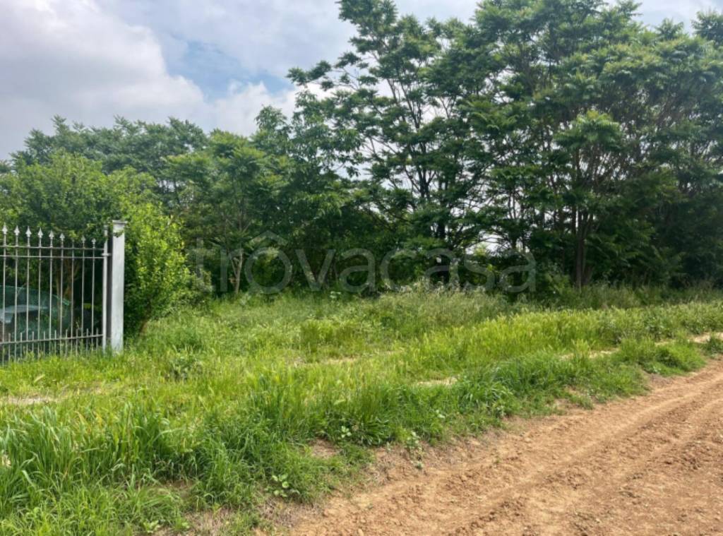 immagine annuncio 4 di 12