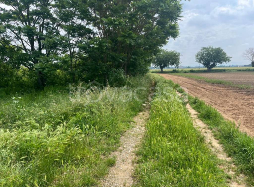 immagine annuncio 5 di 12