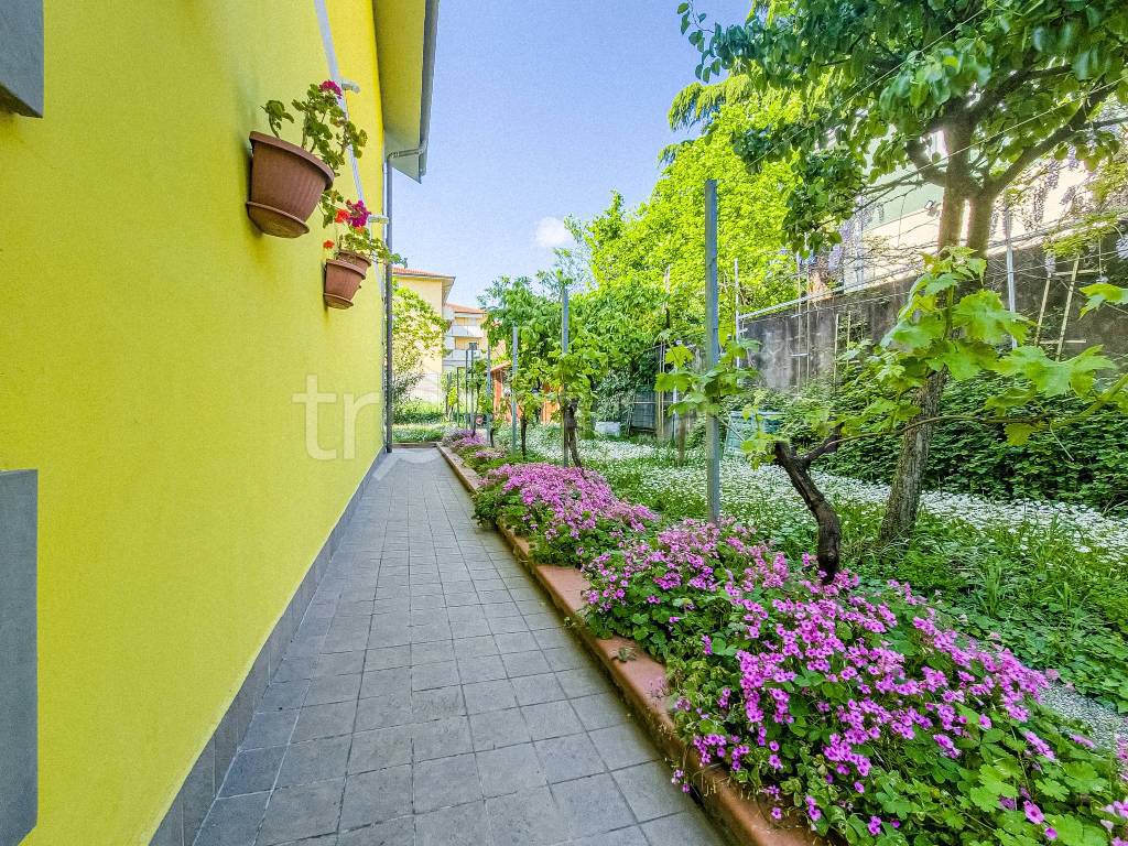 immagine annuncio 5 di 12