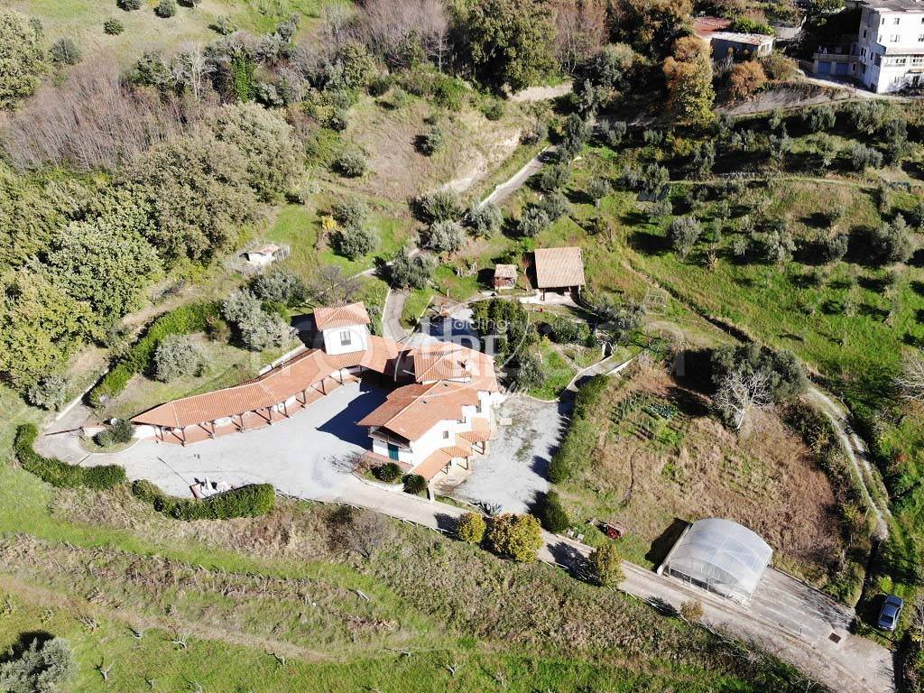 immagine annuncio 6 di 11