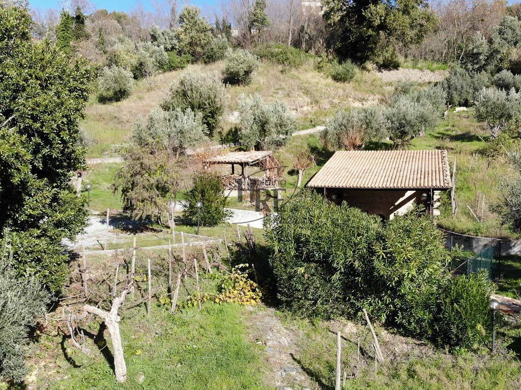 immagine annuncio 7 di 11