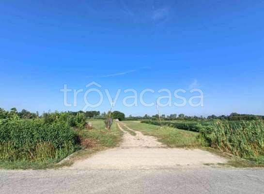 immagine annuncio 4 di 8