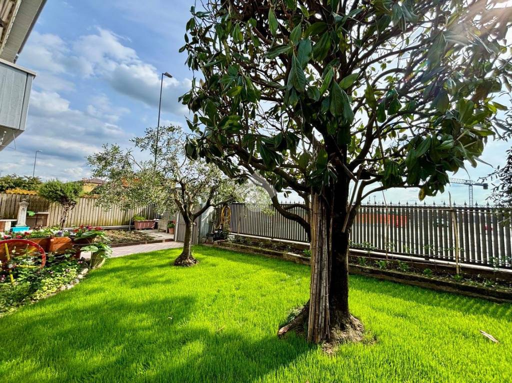 immagine annuncio 3 di 15