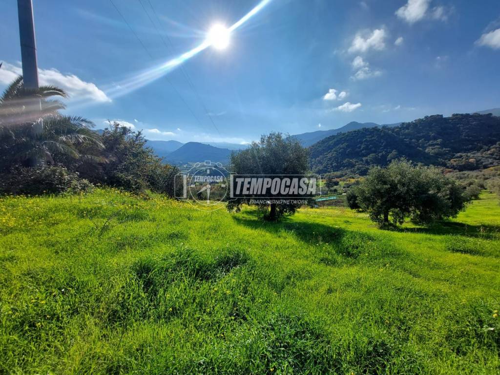 immagine annuncio 3 di 12