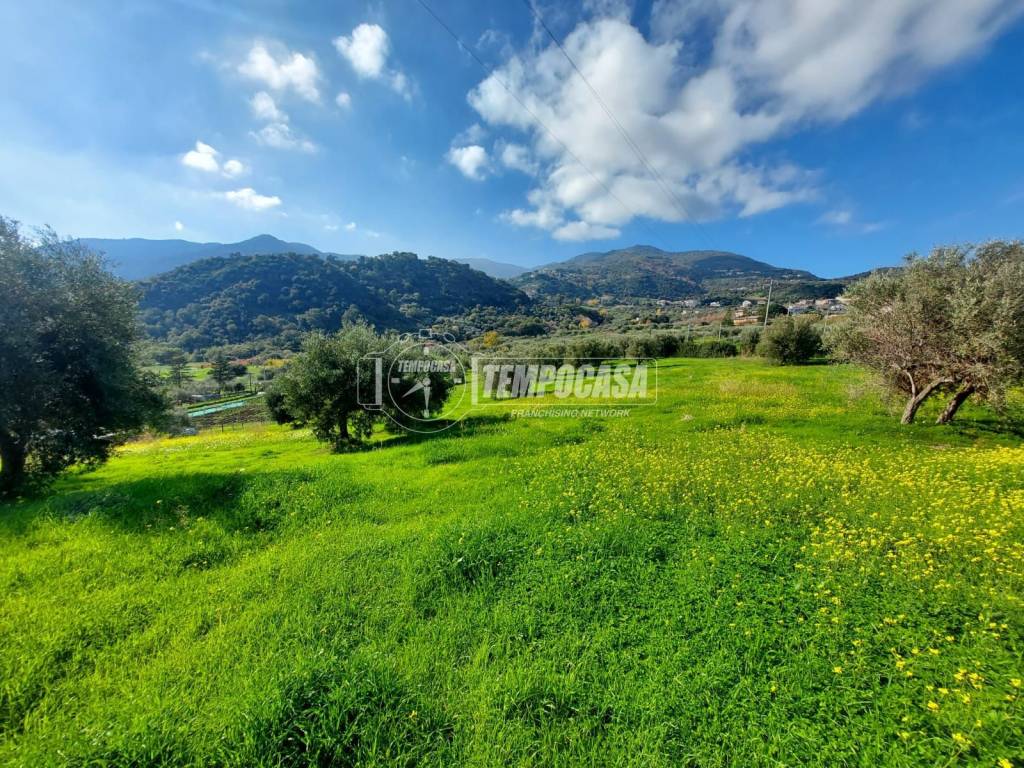 immagine annuncio 4 di 12