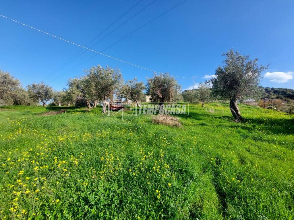 immagine annuncio 5 di 12