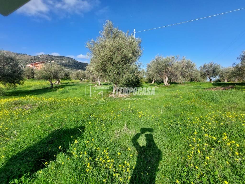 immagine annuncio 6 di 12