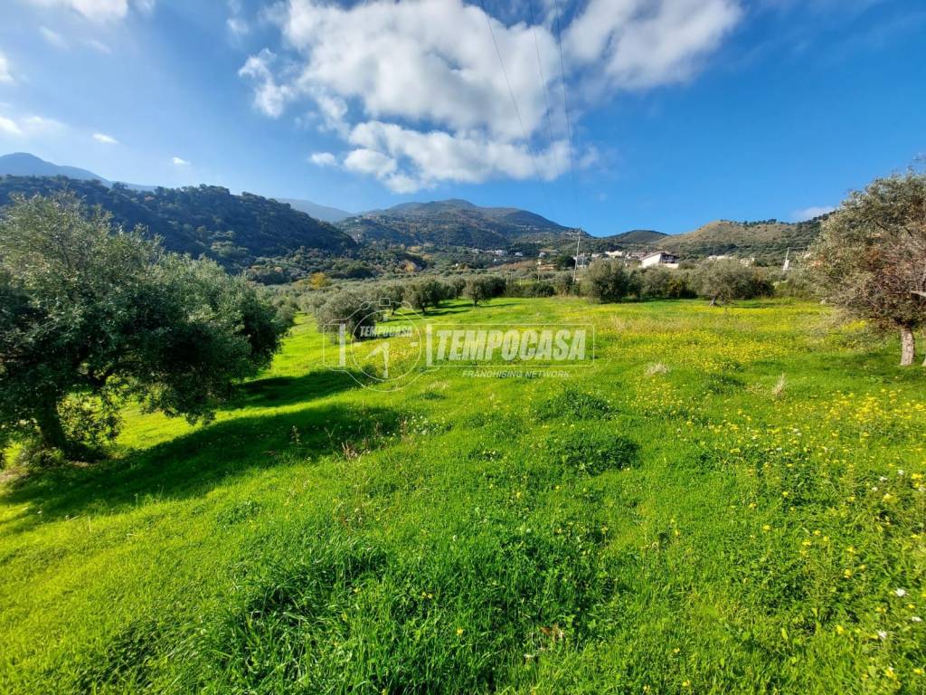 immagine annuncio 8 di 12