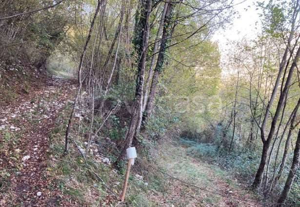 immagine annuncio 2 di 7