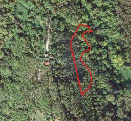 immagine annuncio 3 di 7