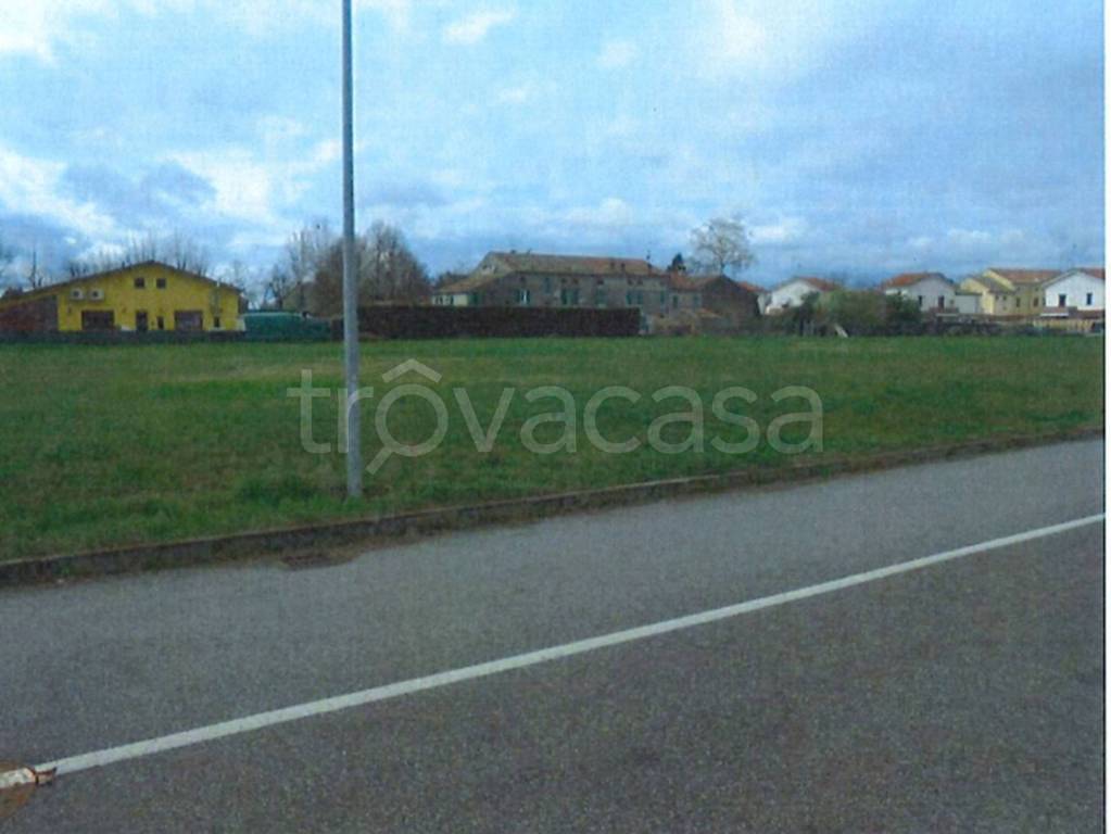 immagine annuncio 5 di 11