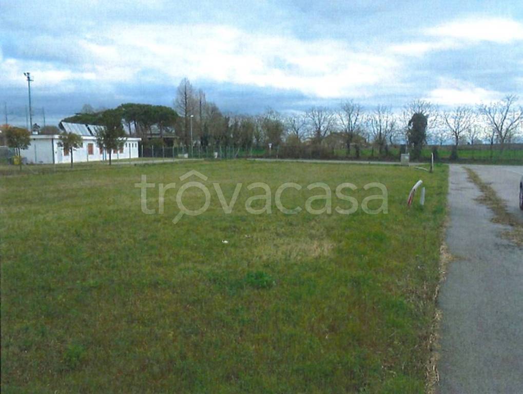 immagine annuncio 7 di 11