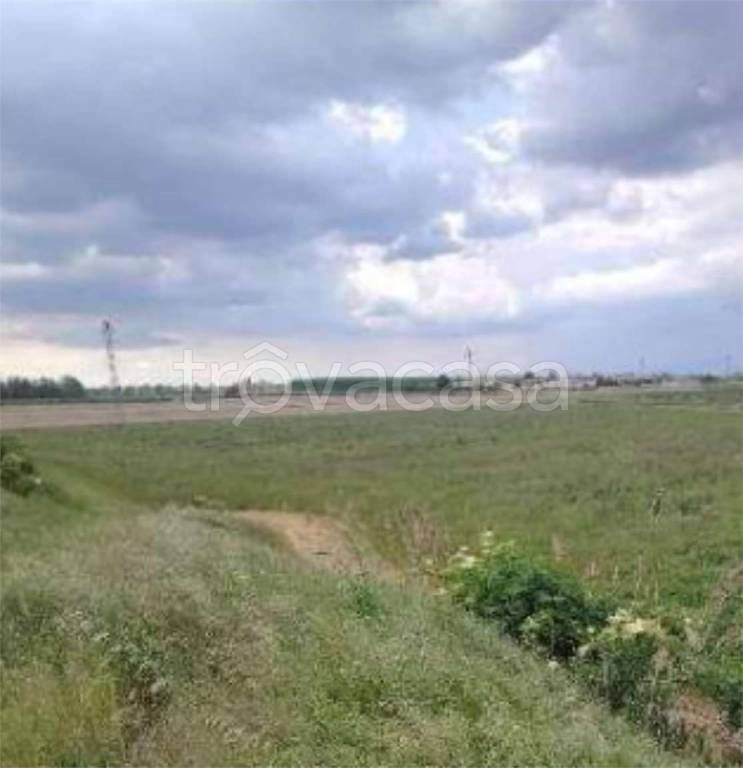 immagine annuncio 5 di 11