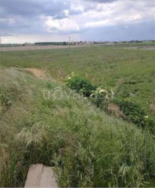 immagine annuncio 6 di 11