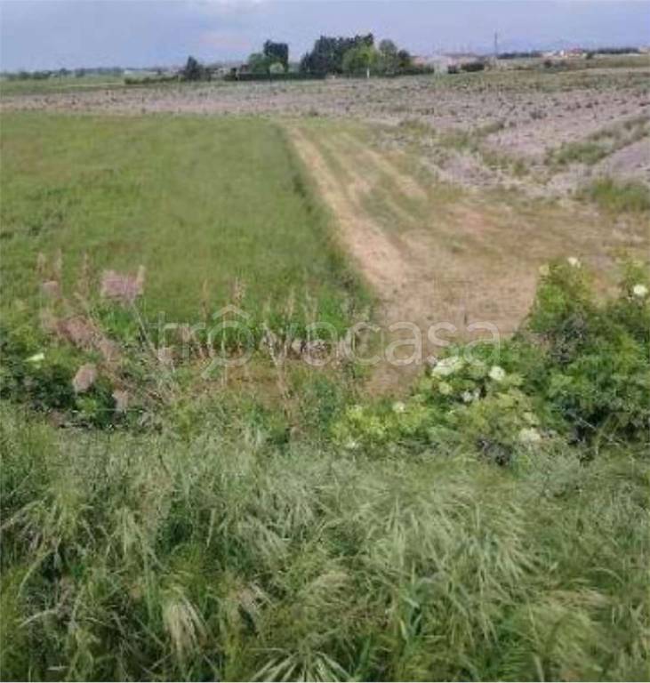 immagine annuncio 8 di 11