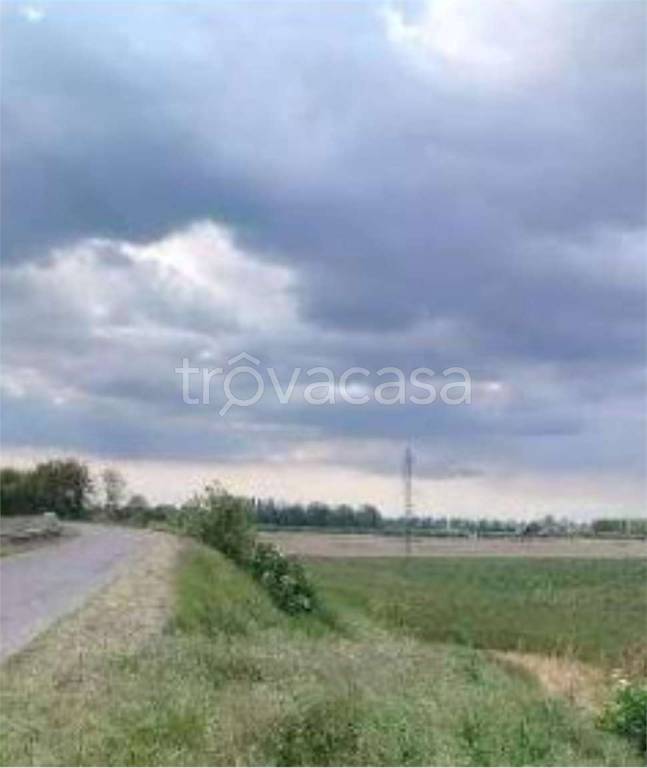 immagine annuncio 9 di 11