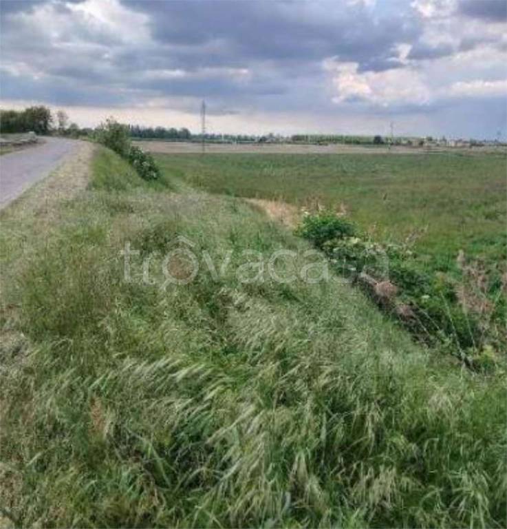 immagine annuncio 10 di 11