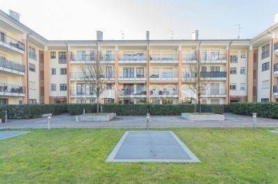 immagine annuncio 4 di 6