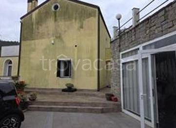 immagine annuncio 5 di 14