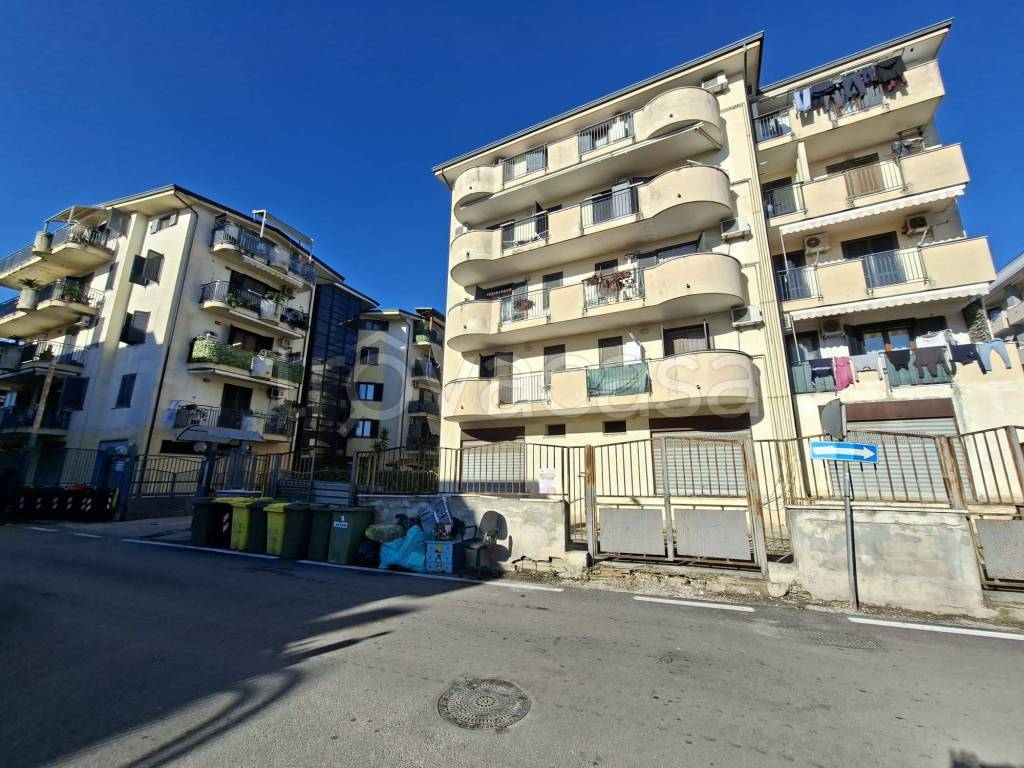 immagine annuncio 2 di 14