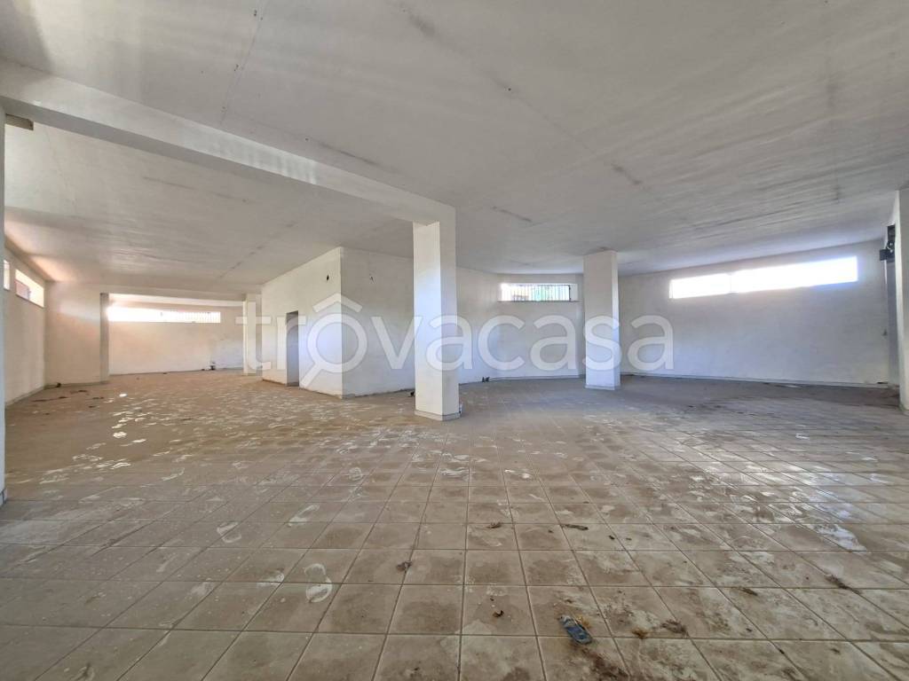 immagine annuncio 7 di 14