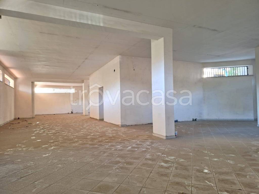 immagine annuncio 9 di 14