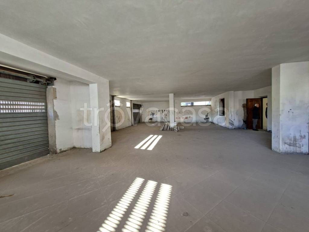 immagine annuncio 10 di 14