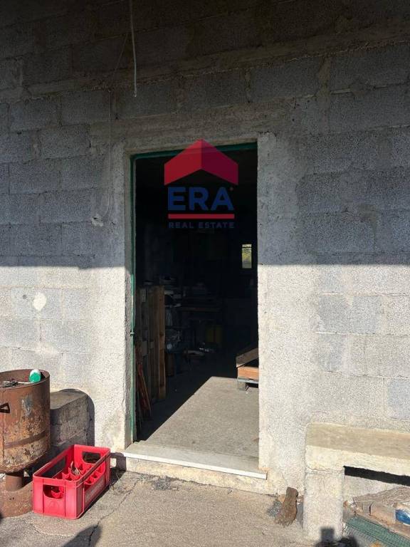 immagine annuncio 5 di 8