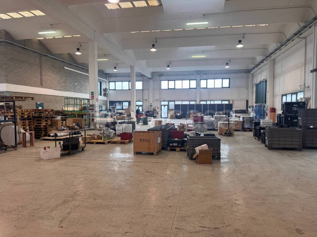 immagine annuncio 12 di 15