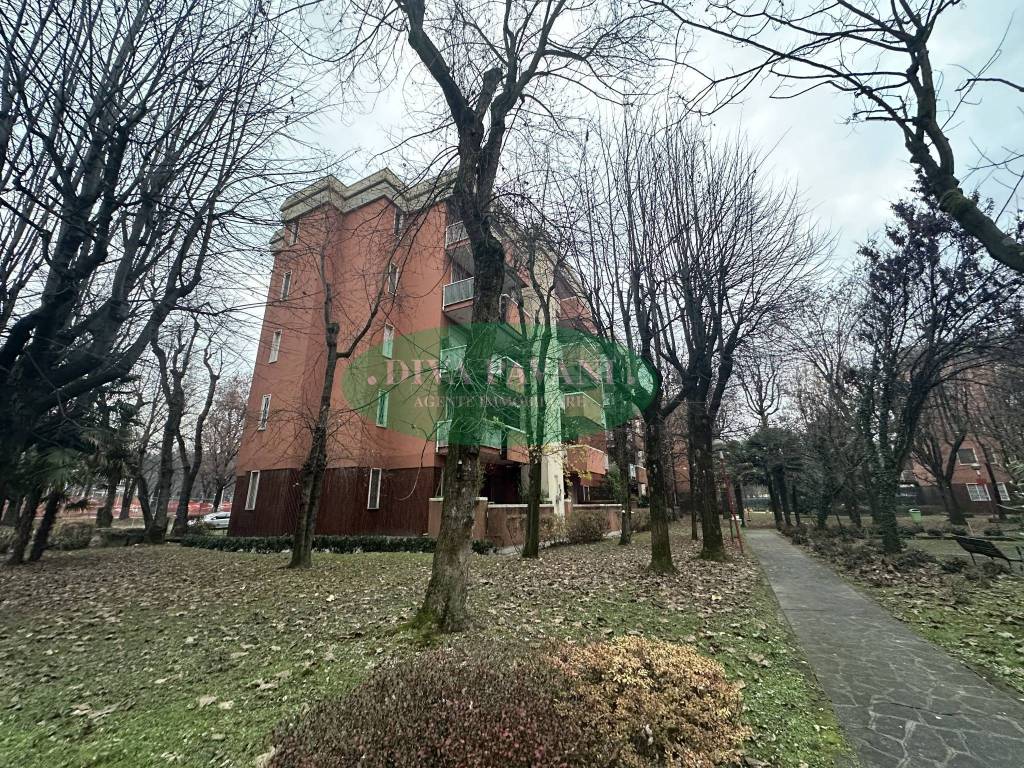 immagine annuncio 7 di 15