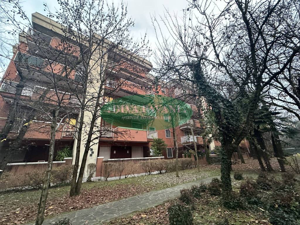 immagine annuncio 13 di 15