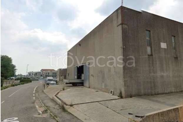 immagine annuncio 1 di 13