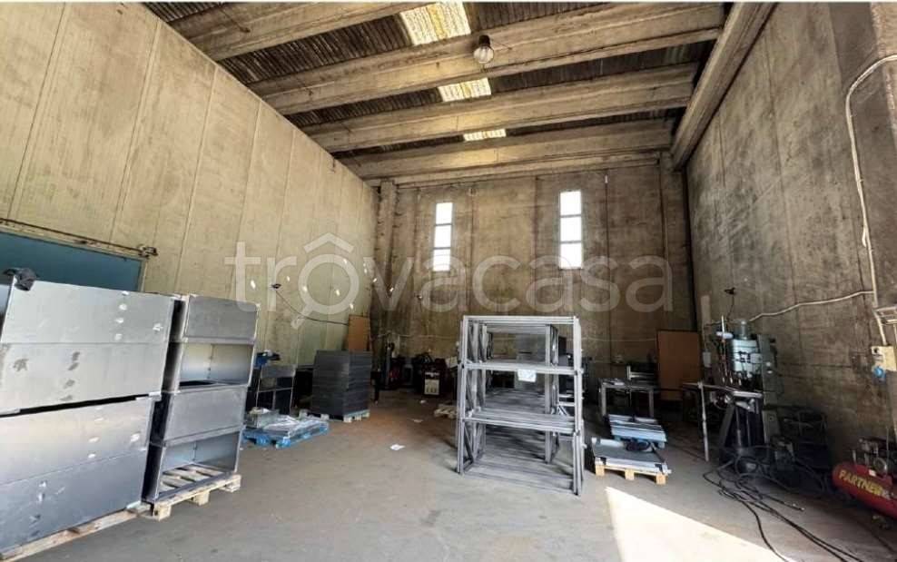 immagine annuncio 6 di 13