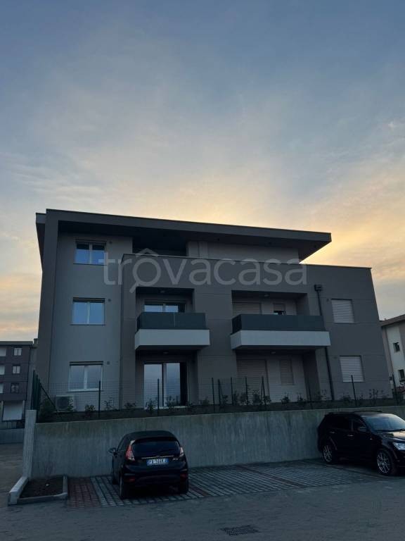 immagine annuncio 9 di 12