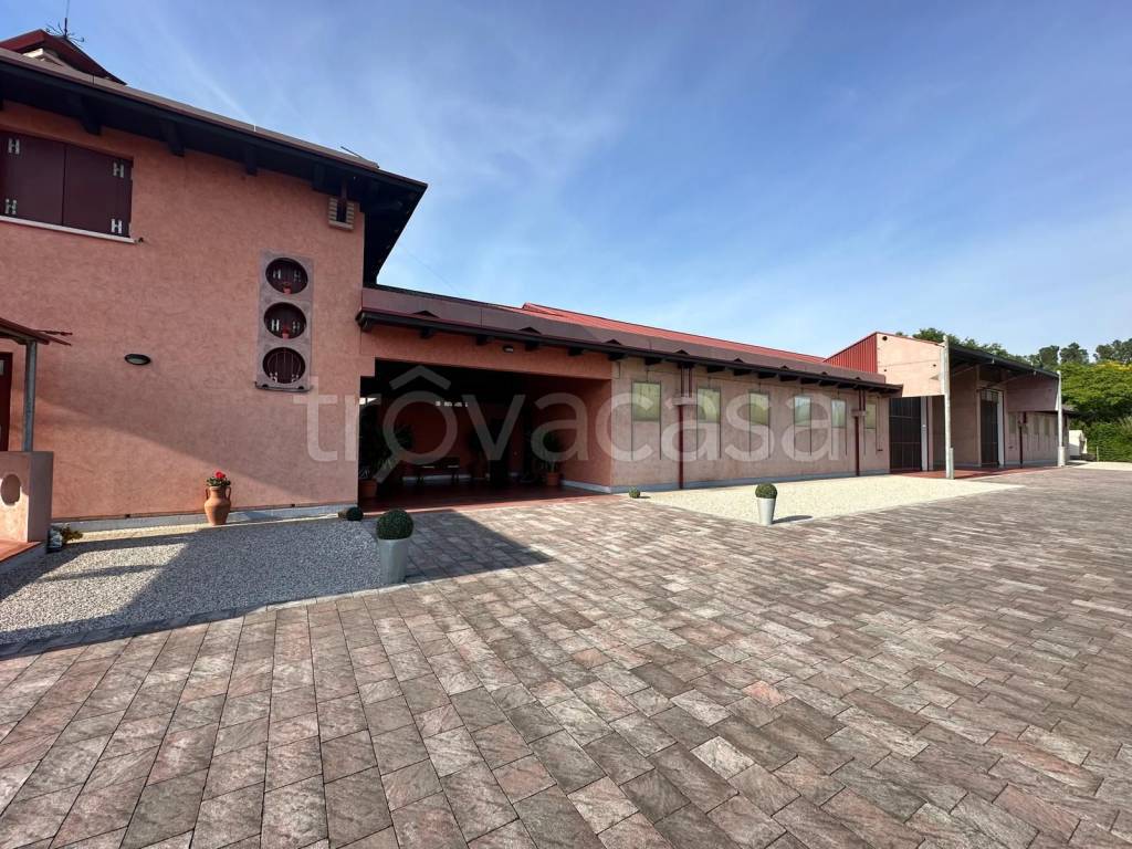 immagine annuncio 9 di 15