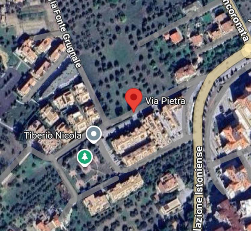 immagine annuncio 9 di 11